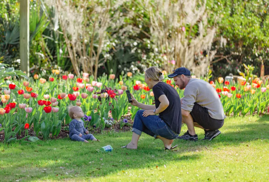 Young father and mother take picture of baby near flowerbed in Airlie Gardens.